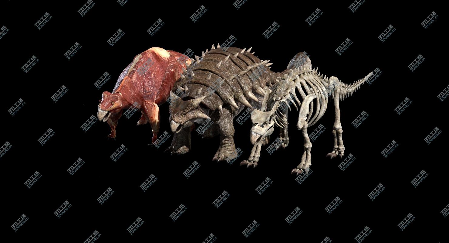 images/goods_img/20210319/Ankylosaurus Anatomy 3D model/3.jpg